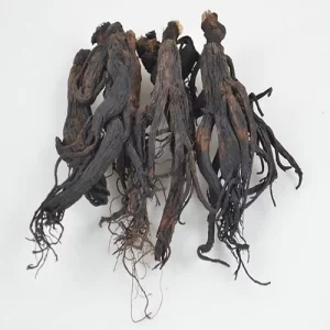 black-ginseng