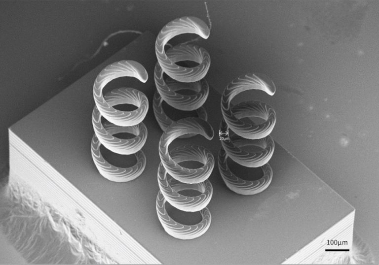 BMF 100 µm sample SEM picture